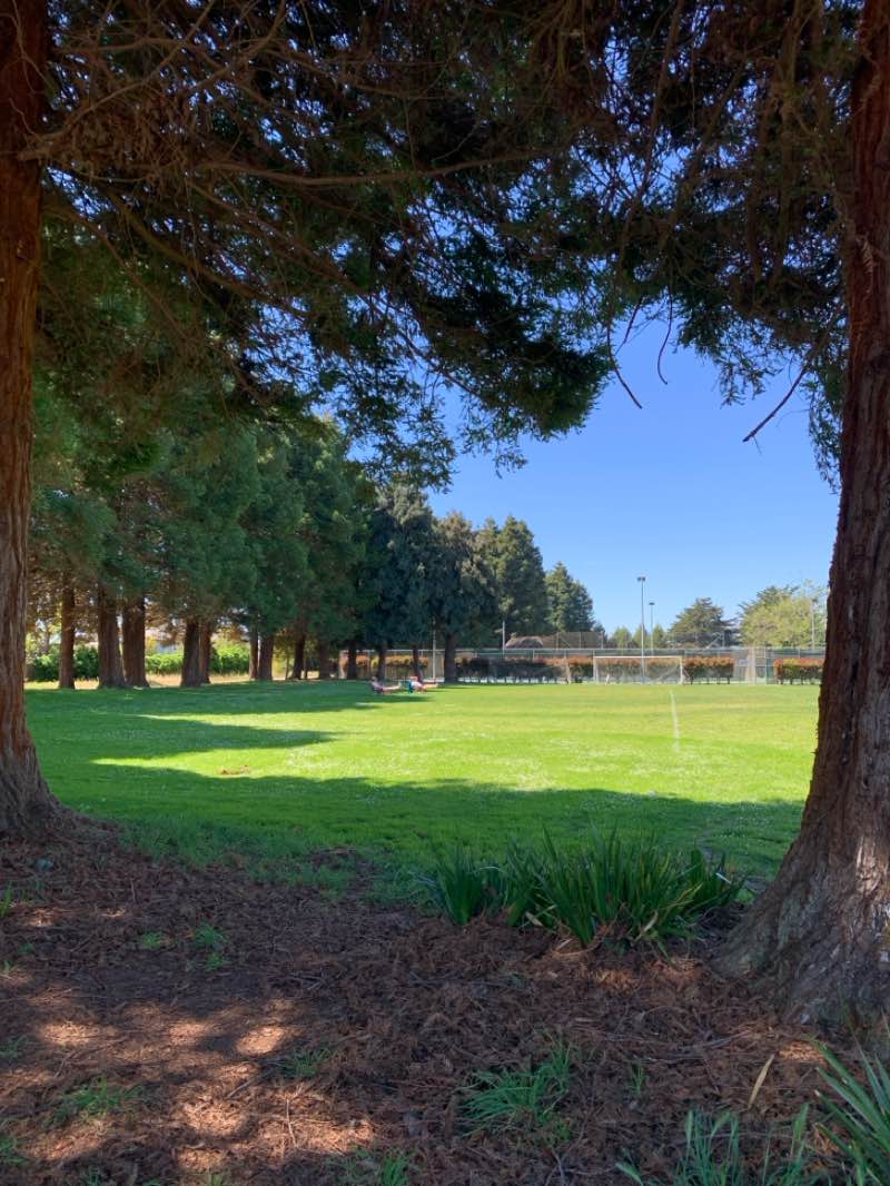 walking near me in Jade Street Park in spring