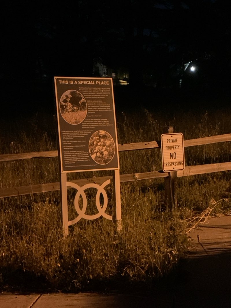 walking near me in Spineflower Habitat Protection Zone in spring