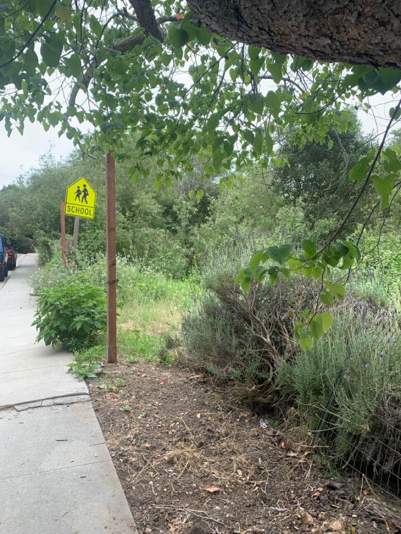 walking near me in Soquel Lions Park in summer