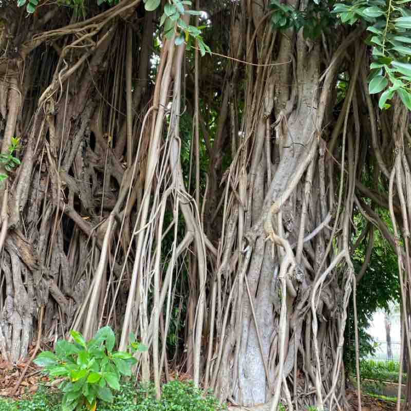 Tâm TíT 1688x post 1