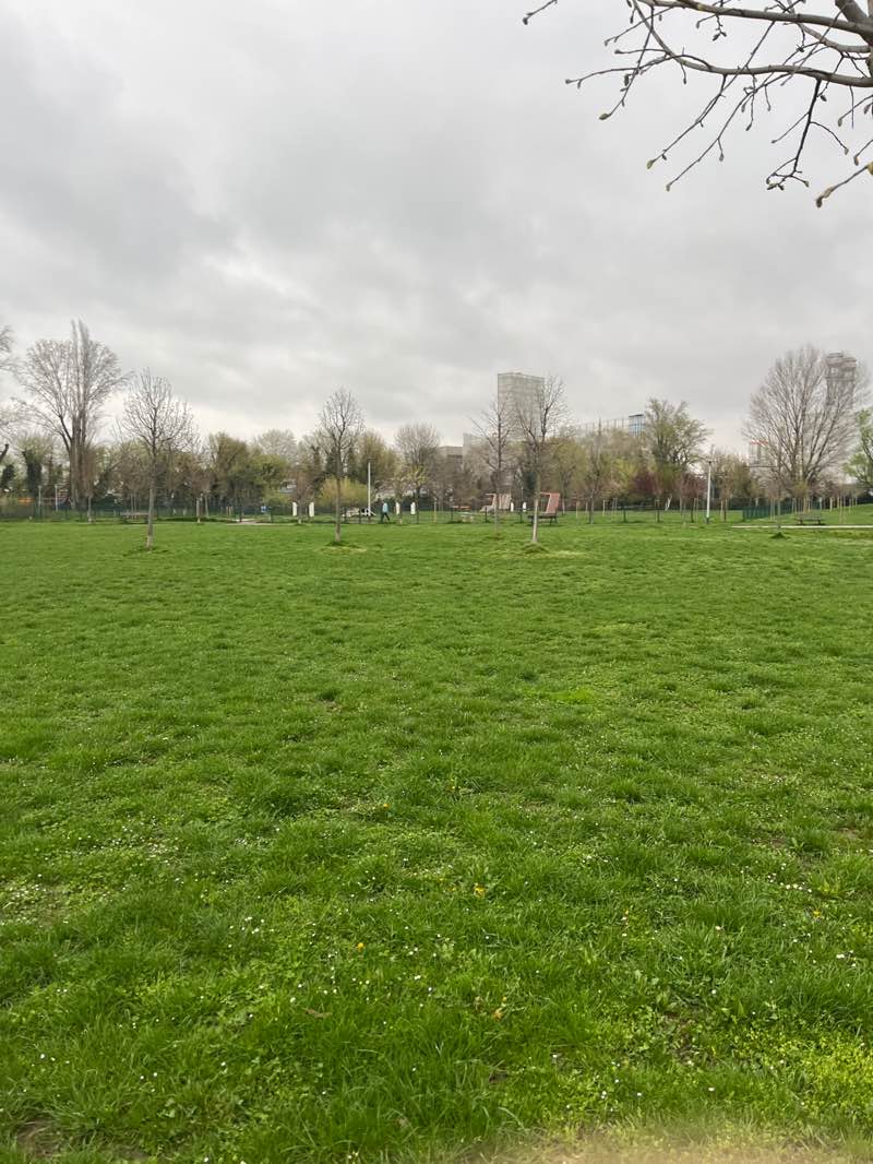 walking near me in Park pravednika među narodima in spring