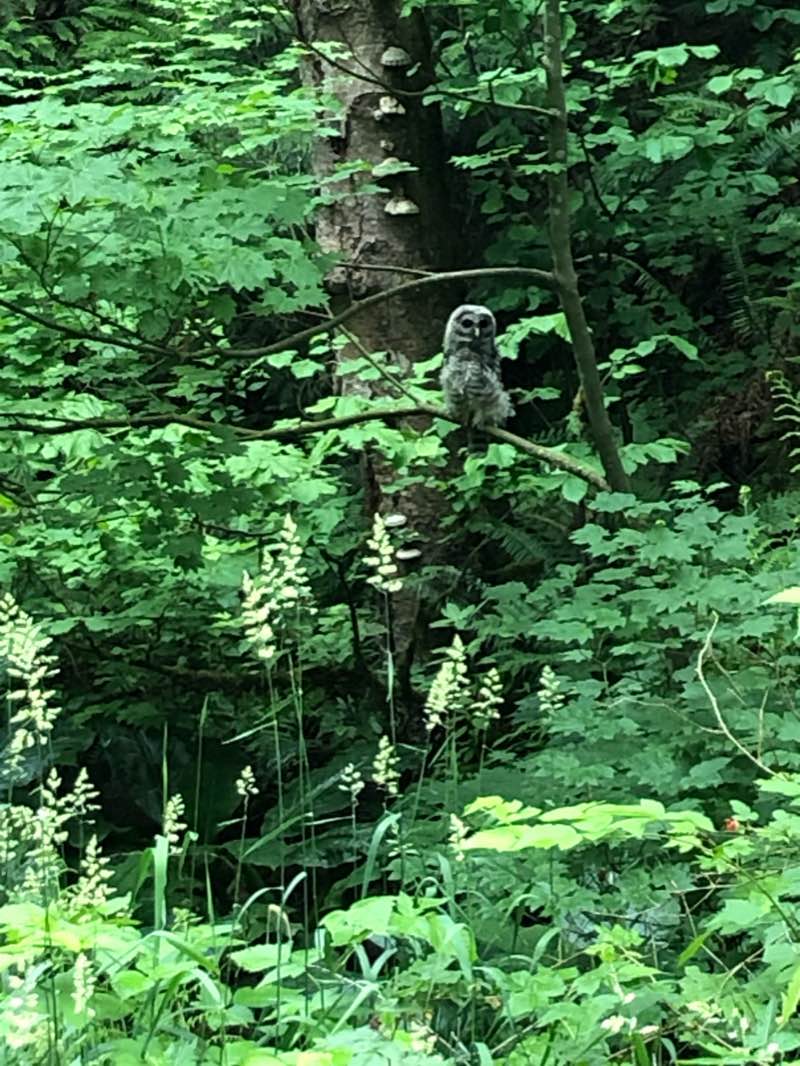 walking near me in McMillan Park in winter