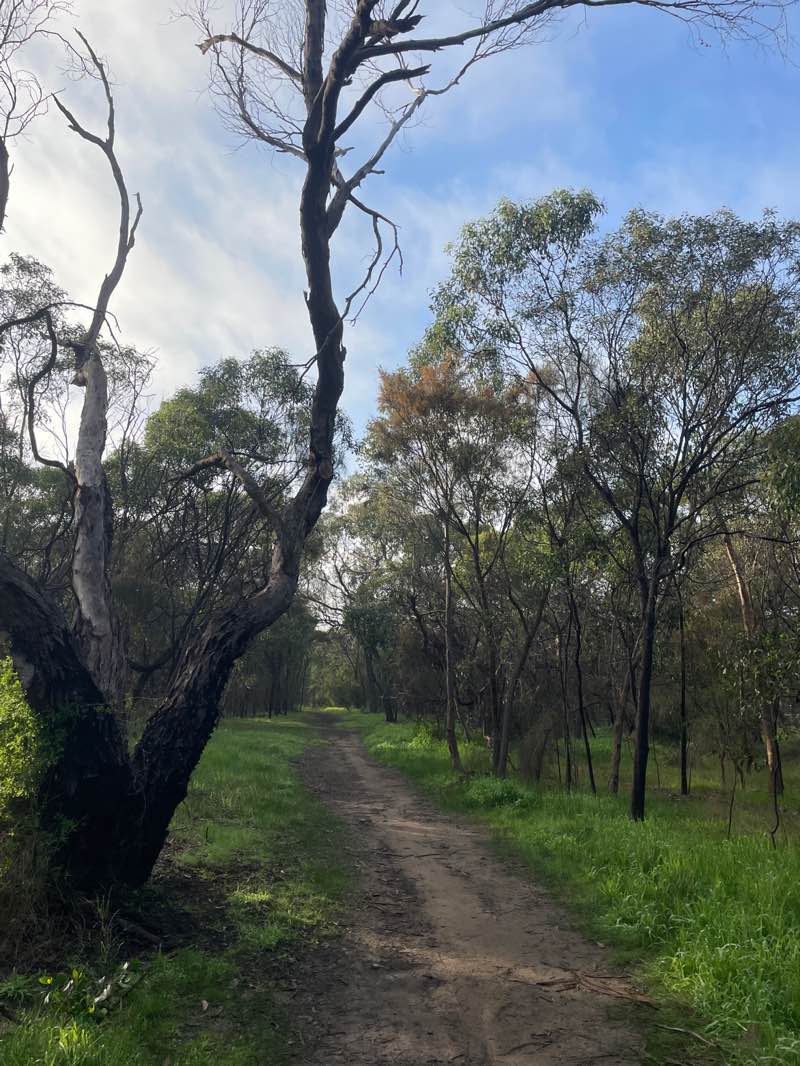 walking near me in Kingston Park in winter