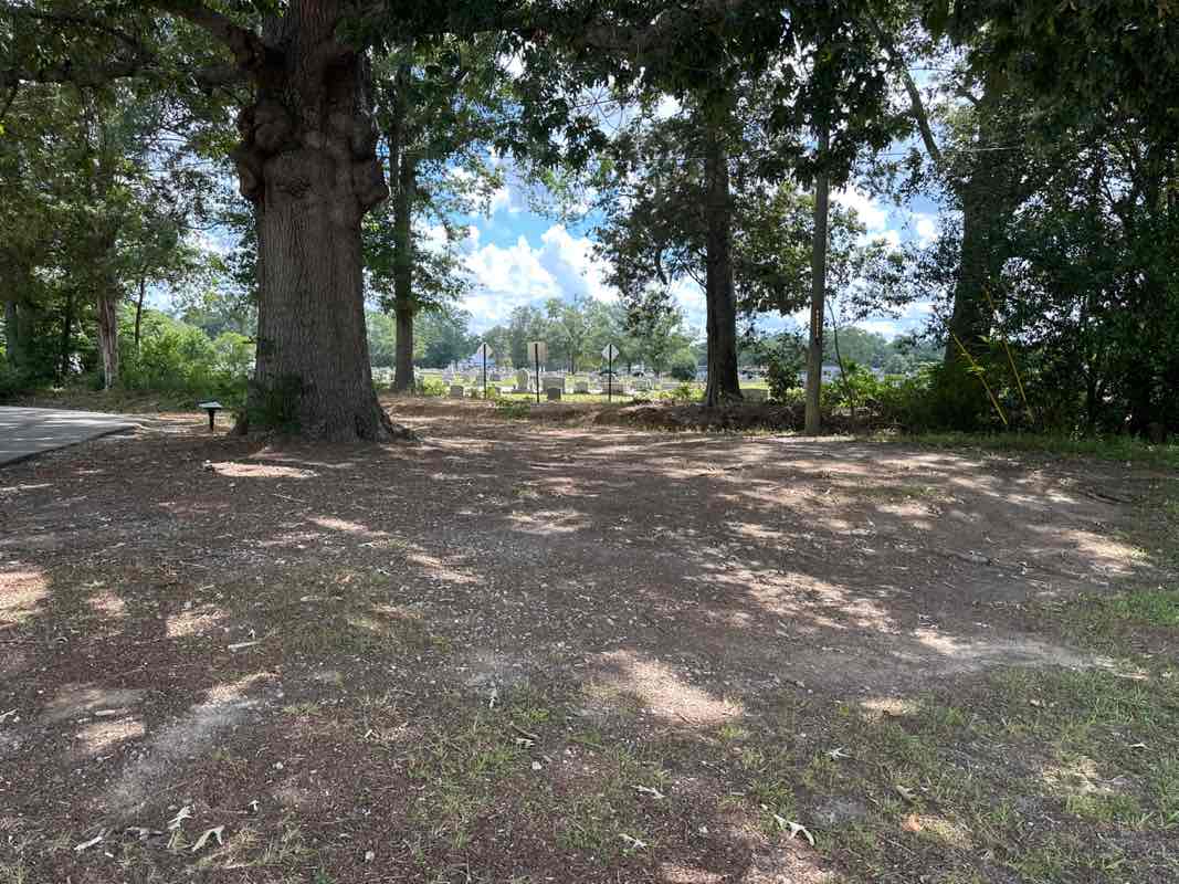 walking near me in Harlem City Park in autumn