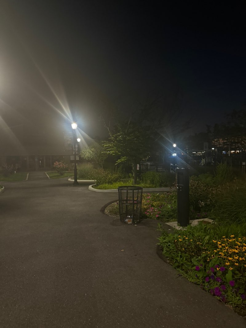 walking near me in Charles J. Fuschillo Park in autumn