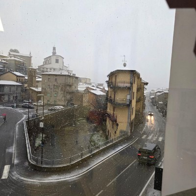 Camminare in buona compagnia...! bruno95 post image