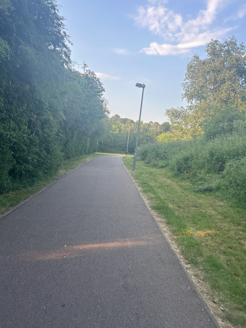 walking near me in Stratford Fields in winter