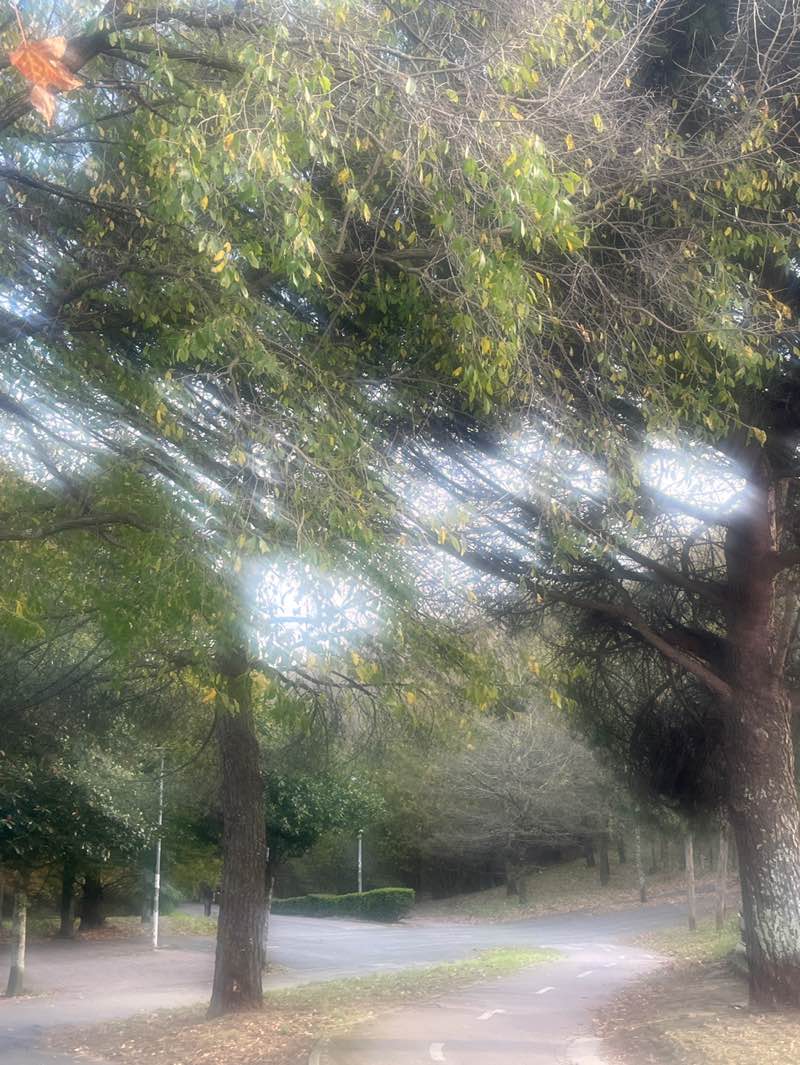 walking near me in Otxoki parkea in autumn