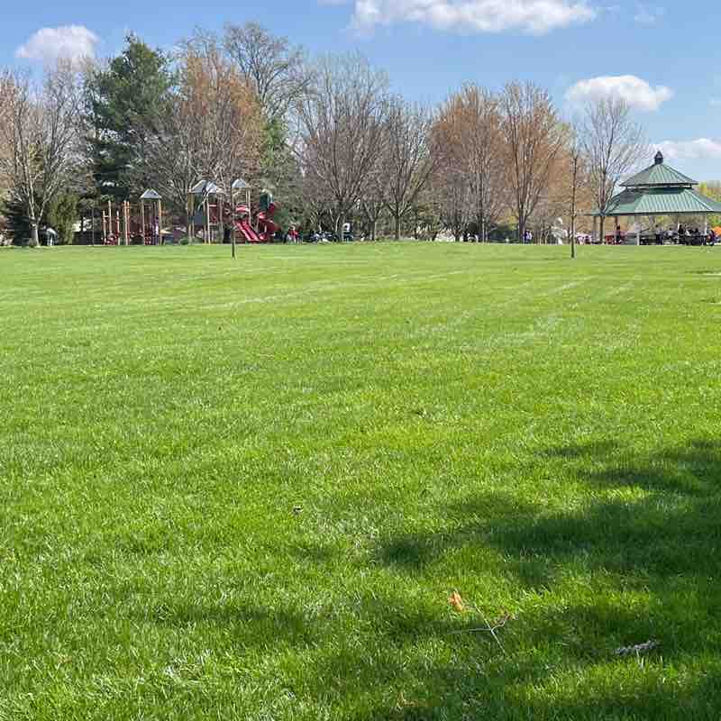 ☘️ Irish Tommy☘️ post 1