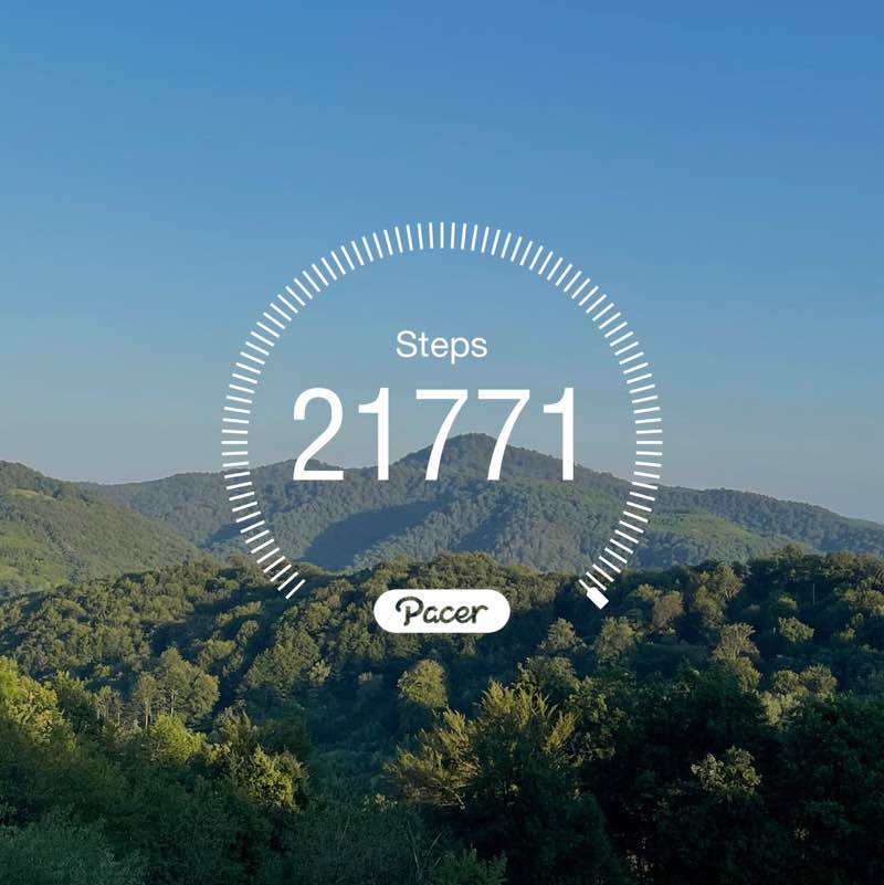 March Steps Challenge Nebojsa post image