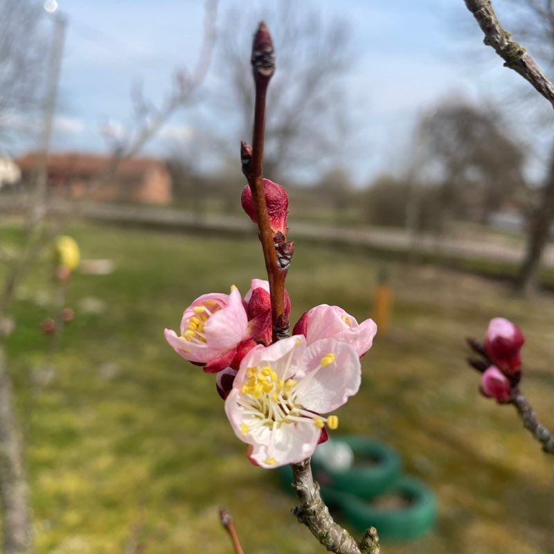 September Steps Challenge Nebojsa post image