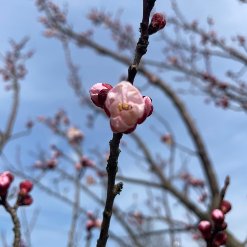 September Steps Challenge Nebojsa post image