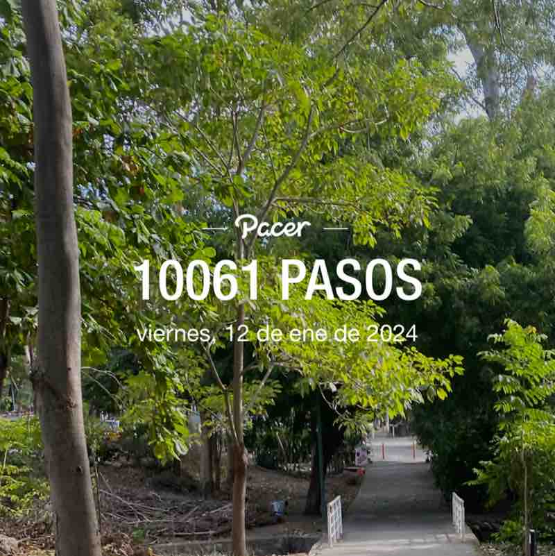 José de Jesús Palacios Orozco post 1