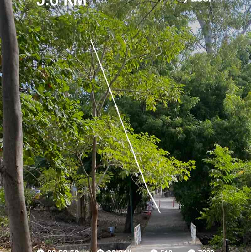 José de Jesús Palacios Orozco post 1