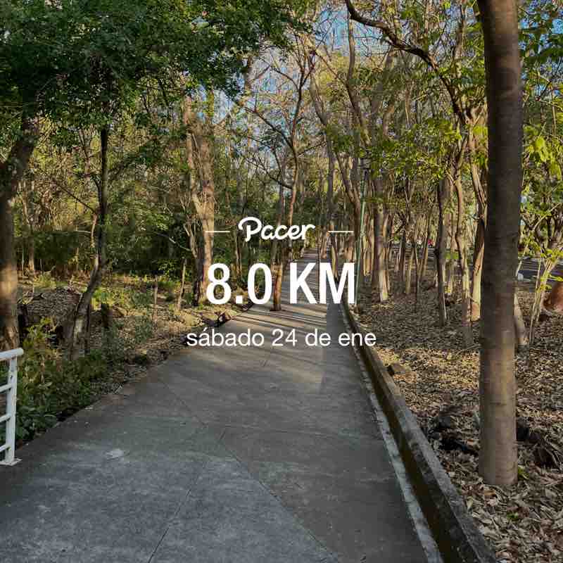 José de Jesús Palacios Orozco post 1