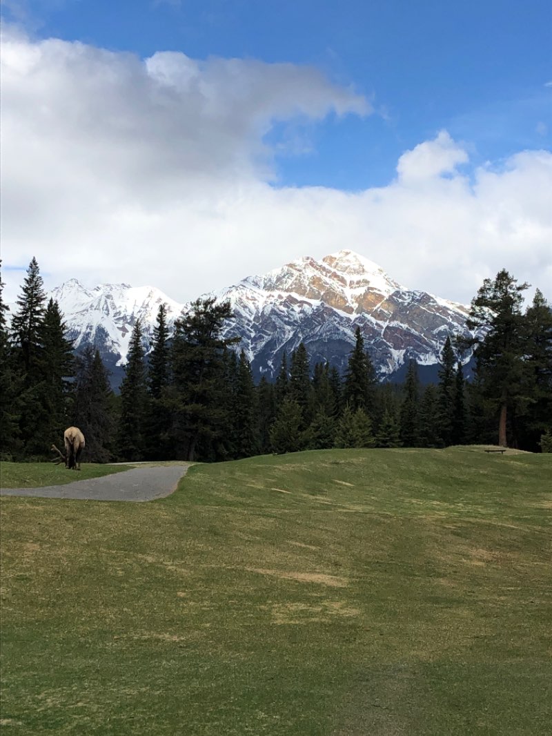 walking near me in Mount Thom Park in winter