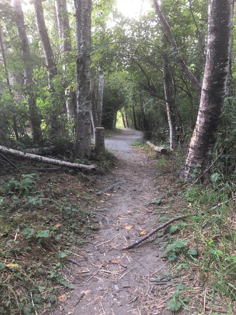 walking near me in Peach Park in winter