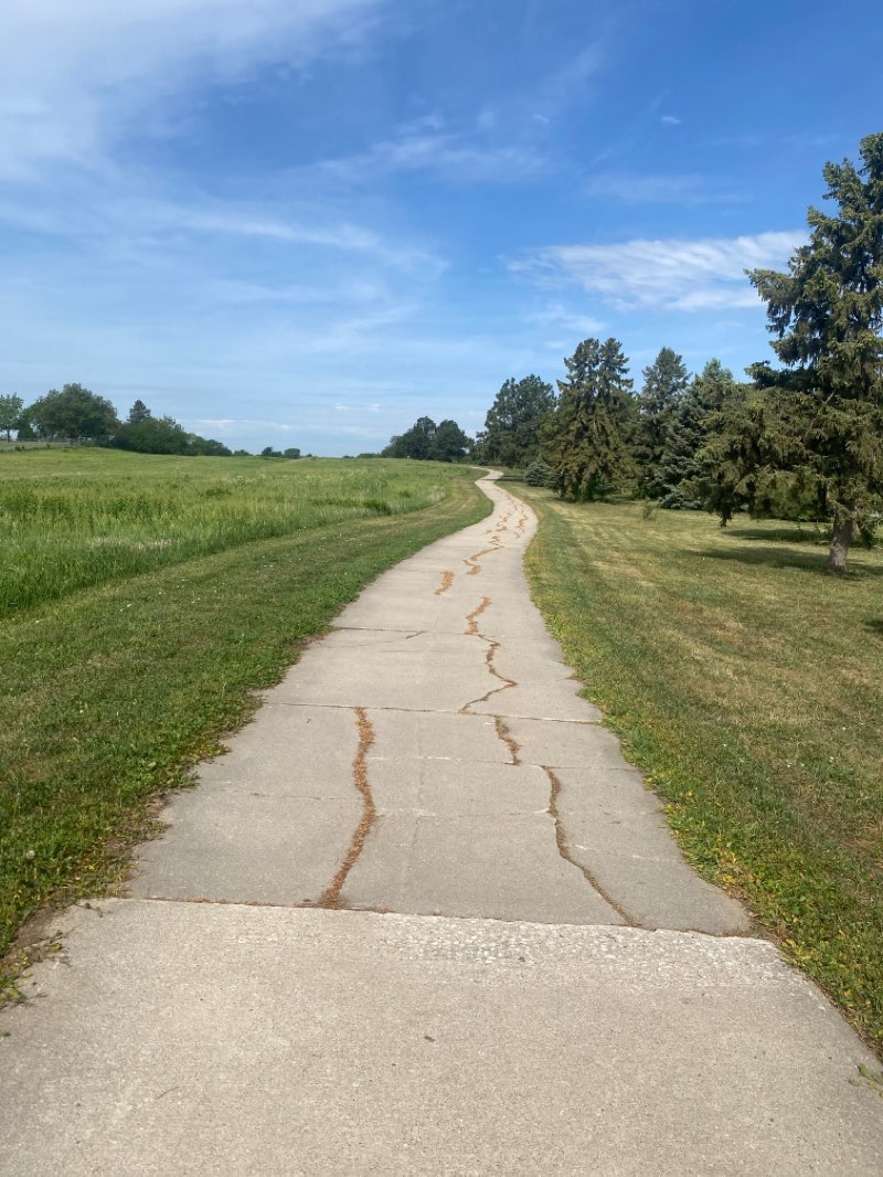 walking near me in Mahoney Park in winter