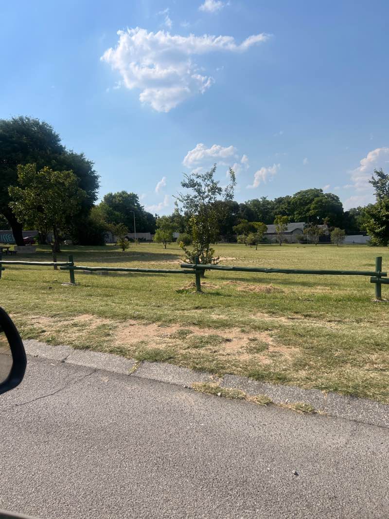walking near me in Cross Park in summer
