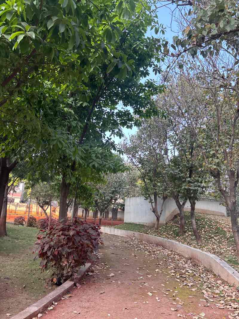 walking near me in Amanora Sprorts Arena in autumn