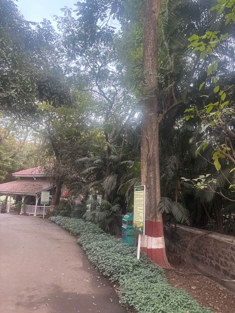 walking near me in Empress Botanical Garden in winter