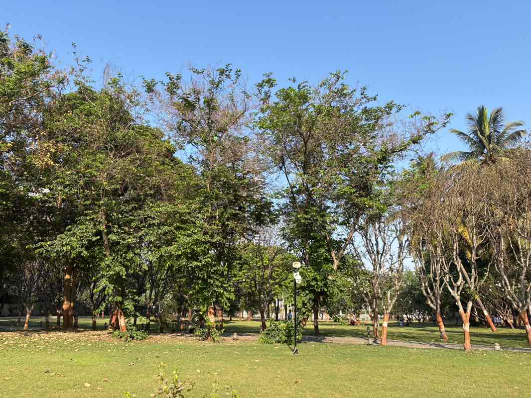 walking near me in Amanora in spring