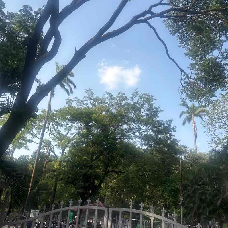 Sanjiv post 2
