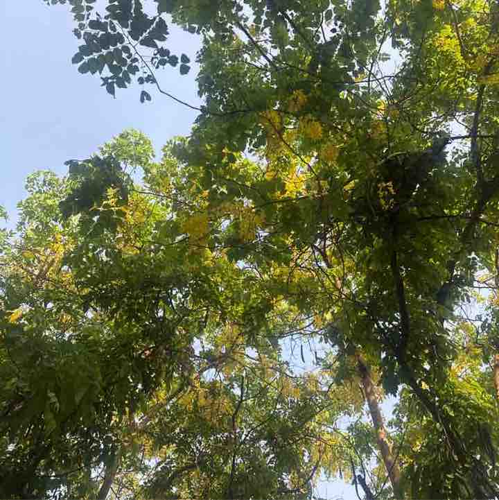 Sanjiv post 1