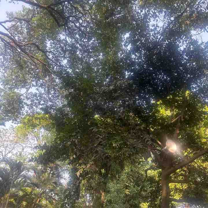 Sanjiv post 3