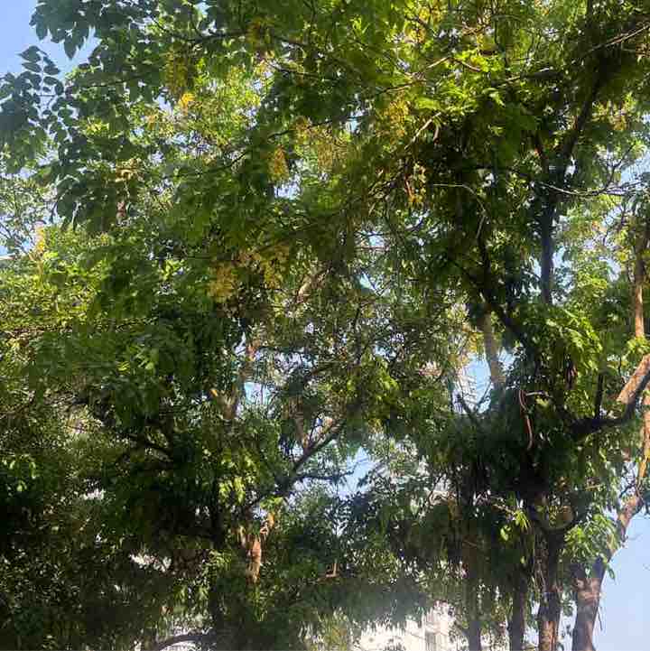 Sanjiv post 2
