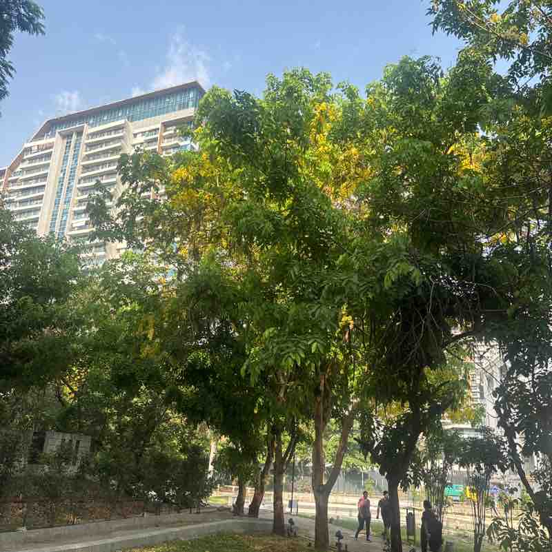 Sanjiv post 3