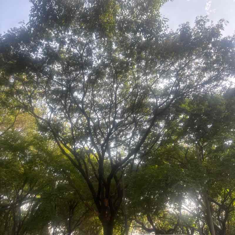 Sanjiv post 1