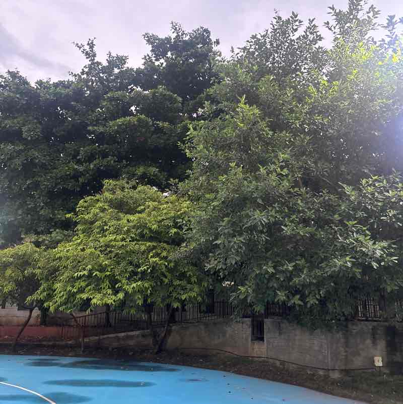 Sanjiv post 3