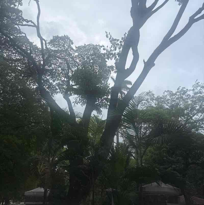 Sanjiv post 3