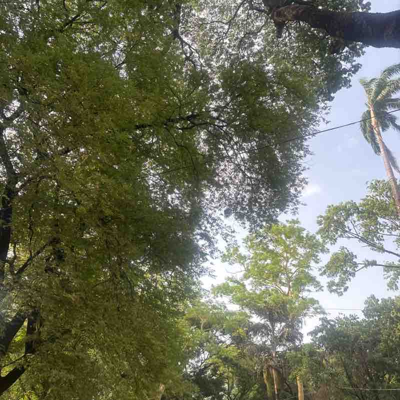 Sanjiv post 2