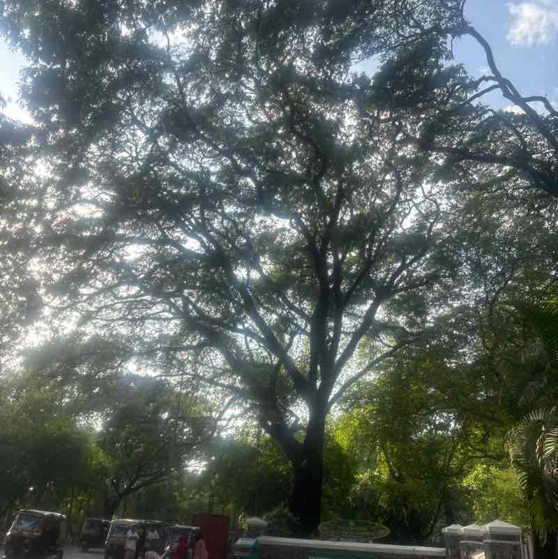 Sanjiv post 2