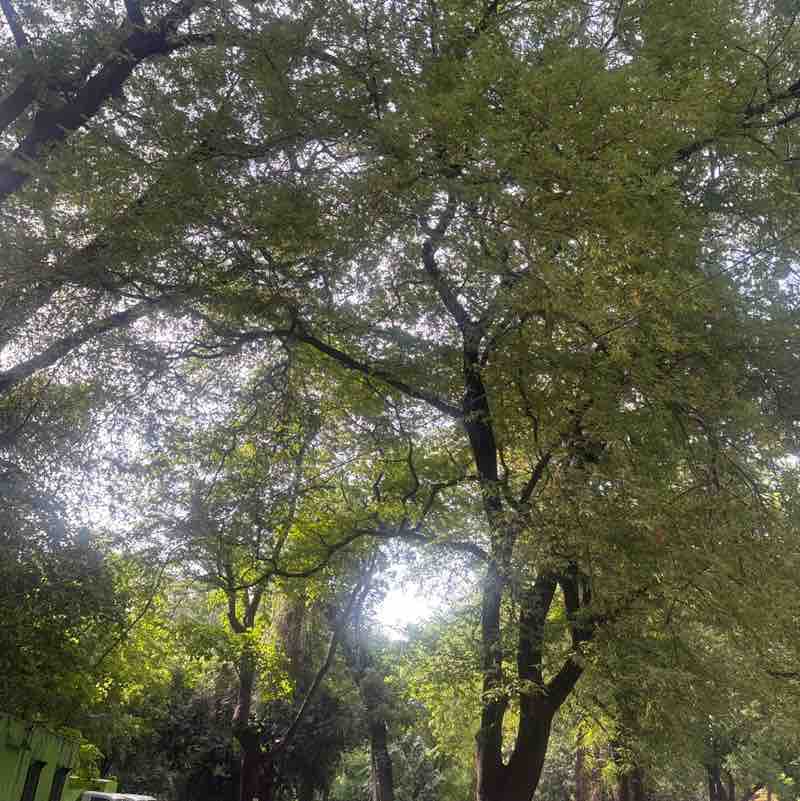 Sanjiv post 1