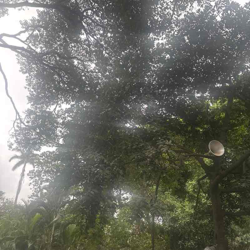 Sanjiv post 2