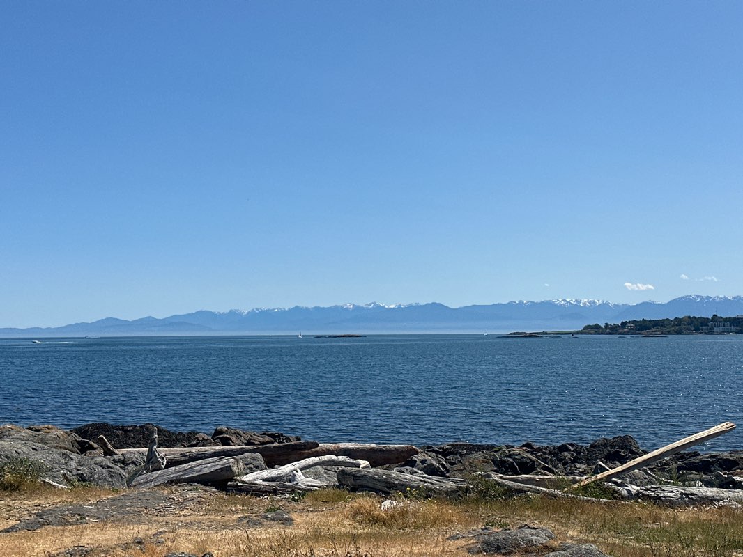 walking near me in Willows Park in winter