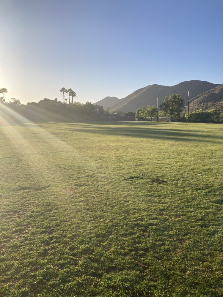 walking near me in Summerhill Park in spring