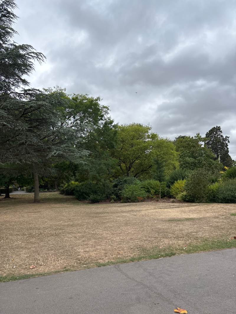 walking near me in Vivary Park in autumn