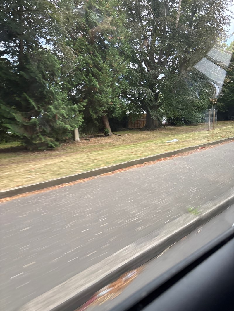 walking near me in Terrace Gardens in autumn