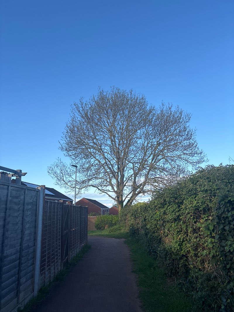walking near me in Rowan Drive Park in spring