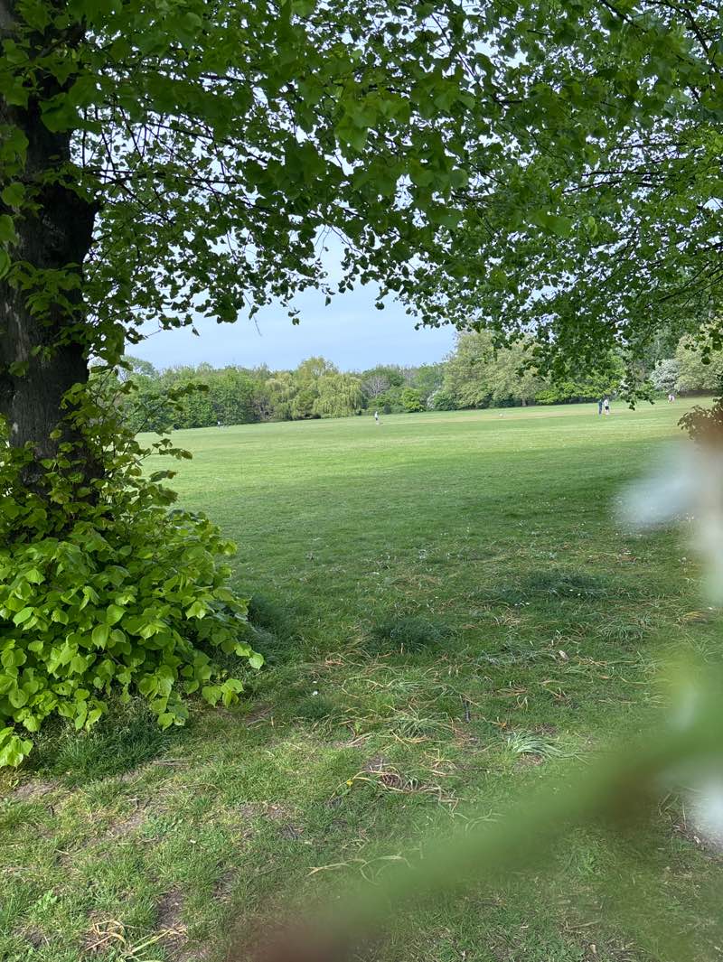 walking near me in Beverley Park in spring