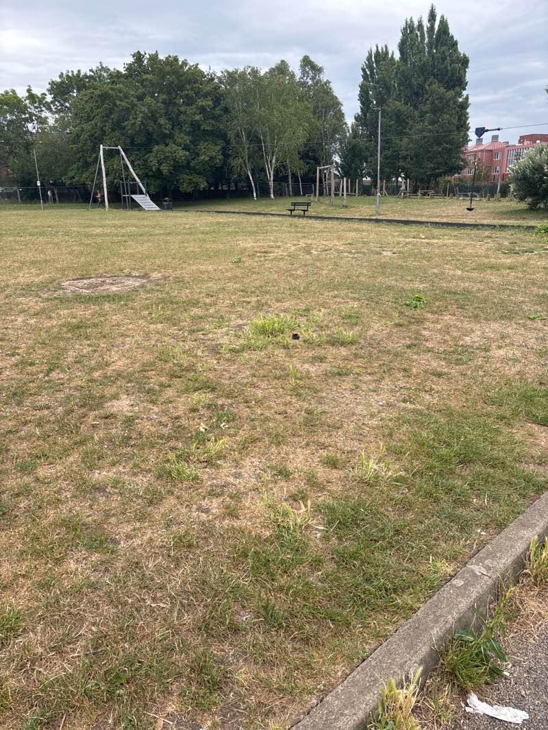 walking near me in Blagdon Road Recreation Ground in summer