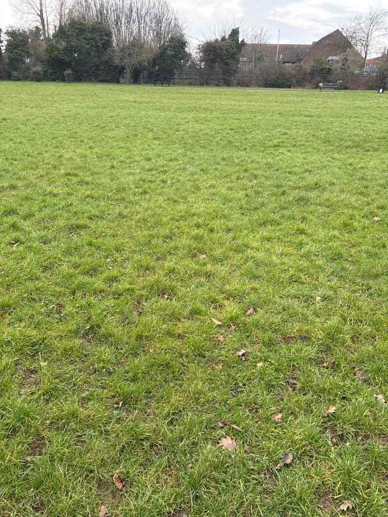 walking near me in Shenley Park in winter