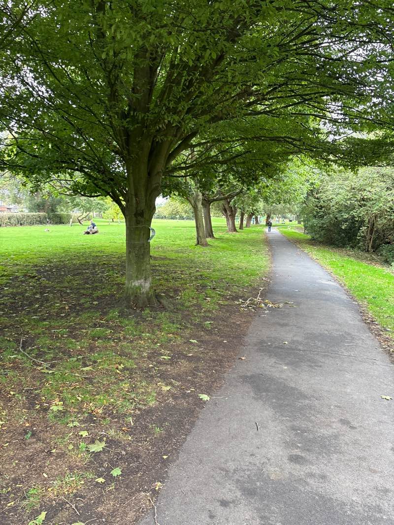 walking near me in Ruislip Gardens in autumn