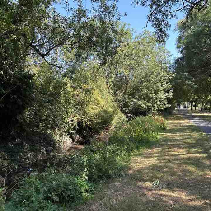 Fassilo post 1