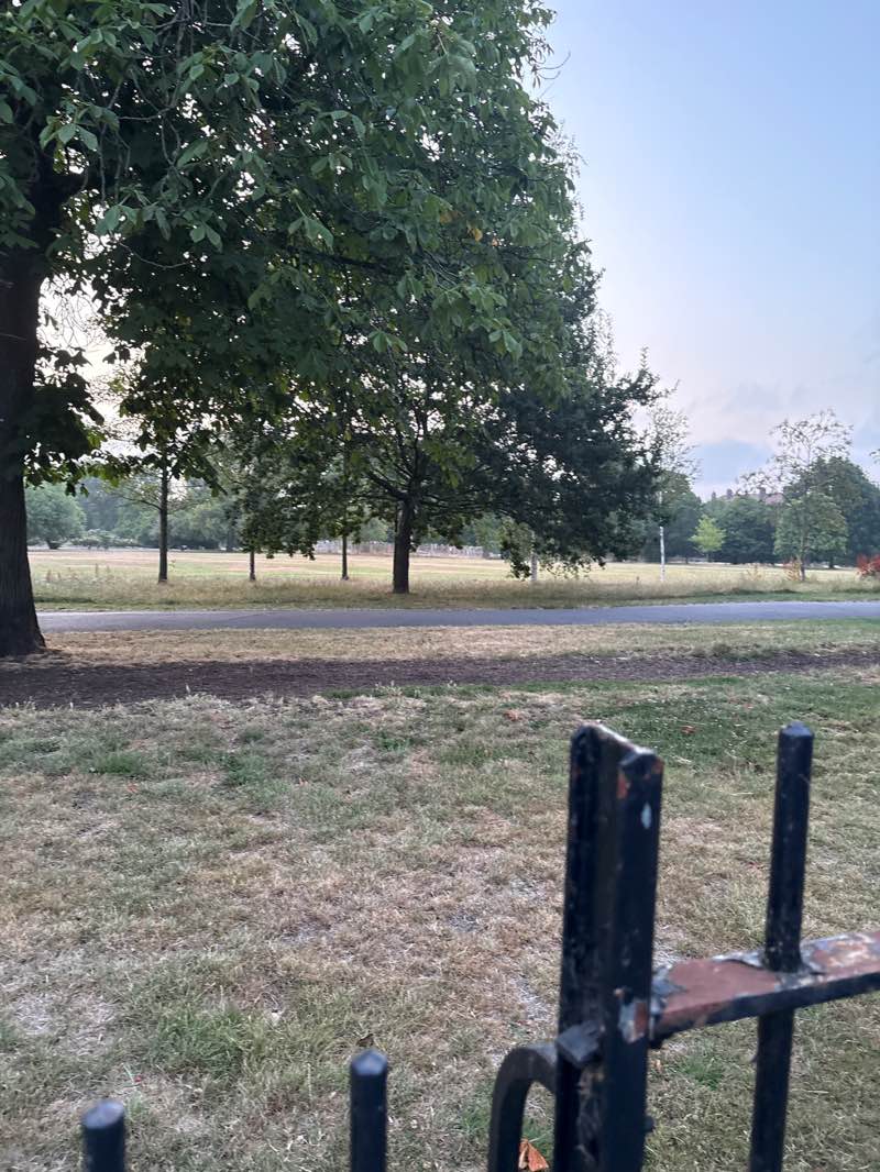 walking near me in Clissold Park in summer