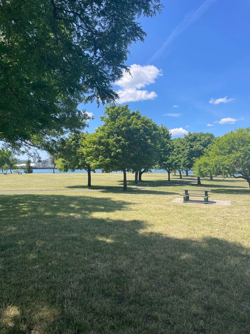 walking near me in Mary O"Malley Waterfront Park in summer